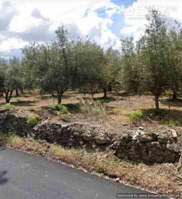 Screenshot_20241115-144359_Maps.jpg